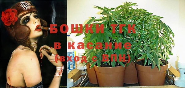 круглые Алзамай