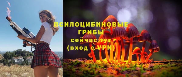 круглые Алзамай