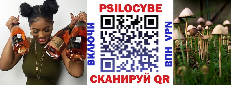 где можно купить Амурск Галлюциногенные грибы Magic Shrooms