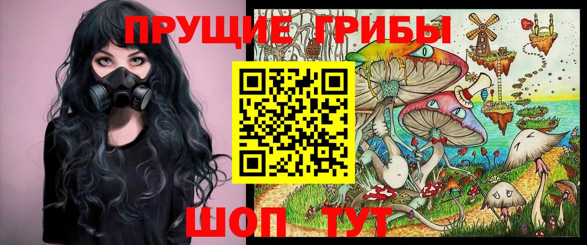 Галлюциногенные грибы мухоморы  Псилоцибиновые грибы MAGIC MUSHROOMS  Амурск  Вход с VPN 